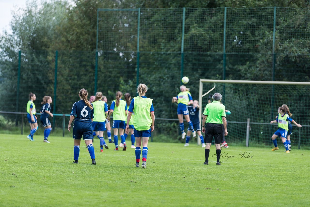 Bild 316 - B-Juniorinnen VfL Pinneberg - HSV : Ergebnis: 1:4